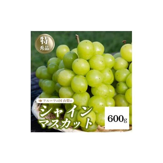 ふるさと納税 ぶどう マスカット 山梨県 笛吹市 2026年発送 先行予約 シャインマスカット 600g 154-008-600g | フルーツ 果物 高評価 人気 ランキング おす…