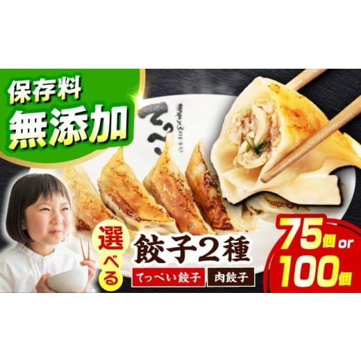 ふるさと納税 餃子 大阪府 高槻市 選べる種類・容量 人気ラーメン店の本気「てっぺい餃子」75個入り(25個×3パック) 保存料無添加 メディアでも話題:石田てっ…