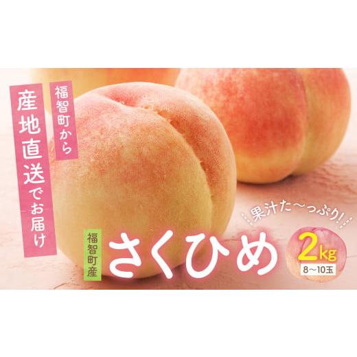 ふるさと納税 もも 福岡県 福智町 W20-04 2026年発送 先行予約 ハウス桃 さくひめ 約2kg 桃 もも モモ 数量限定 福岡県 福智町産 さくひめ 果実 果物 くだもの…