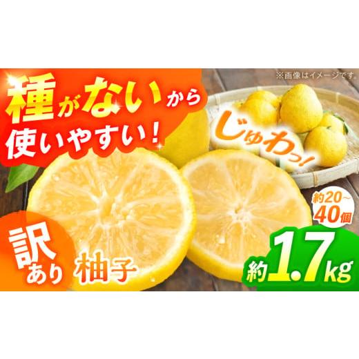 ふるさと納税 みかん・柑橘類 ゆず 広島県 三次市 訳あり 2026年先行予約 種なし柚子 約1.7kg(約20個から40個) 2026年11月中旬より順次発送 ゆず 種無し ユ…