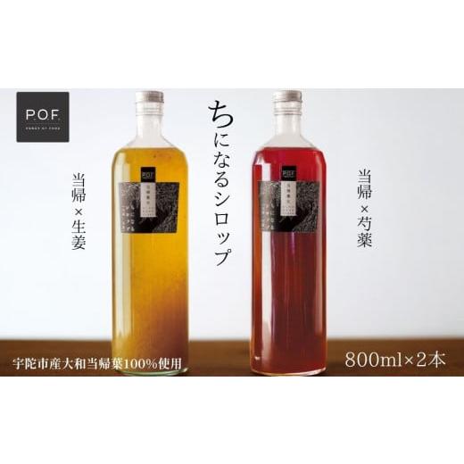 ふるさと納税 果汁飲料 奈良県 宇陀市 ちになるシロップ 大和当帰 800ml × 2種セット ／POWER OF FOOD ふるさと納税 芍薬 生姜 シロップ 瓶 ガラス瓶 国産 食…の画像