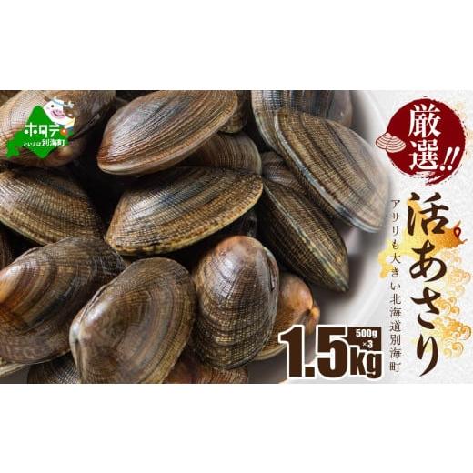 ふるさと納税 アワビ・ホタテ・他 北海道 別海町 北海道 野付産 大粒 天然 活あさり 1.5kg前後 UY0000017 (株式会社 海好)(北海道 別海町 あさり アサリ 貝…