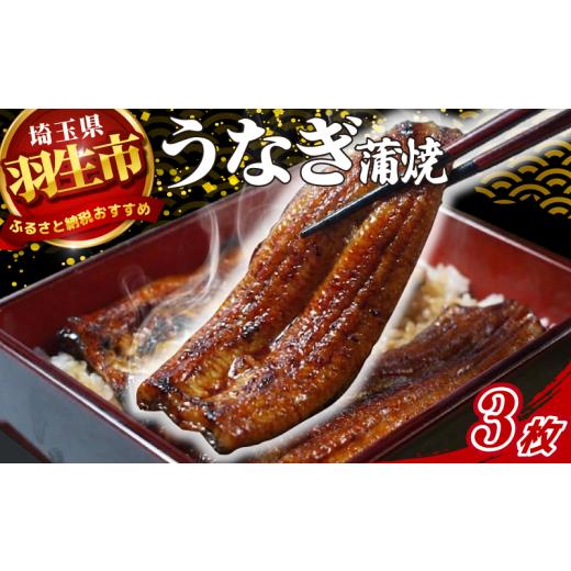 ふるさと納税 うなぎ 埼玉県 羽生市 うなぎ 鰻 蒲焼 約120g~130g 3枚 冷蔵 山椒付き 真空パック 小分け ウナギ うなぎ蒲焼 鰻蒲焼き 蒲焼き かば焼き 真空パッ…
