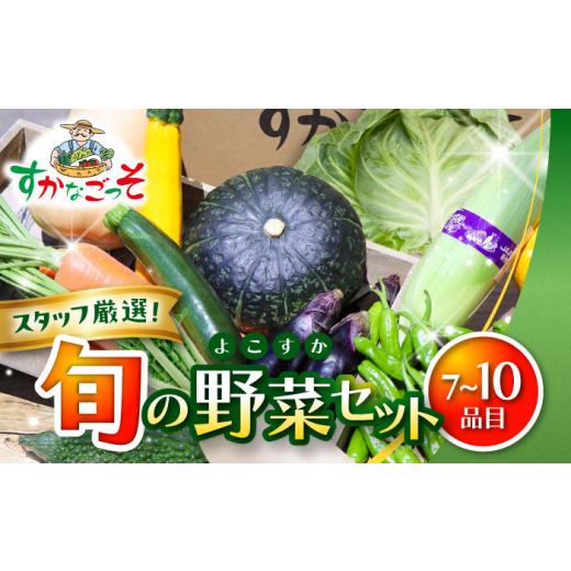 ふるさと納税 セット・詰合せ 神奈川県 葉山町 よこすか野菜セット すかなボックス ／ 野菜 やさい 野菜ボックス 野菜セット 野菜詰め合わせ 産地直送 野菜BOX…の画像