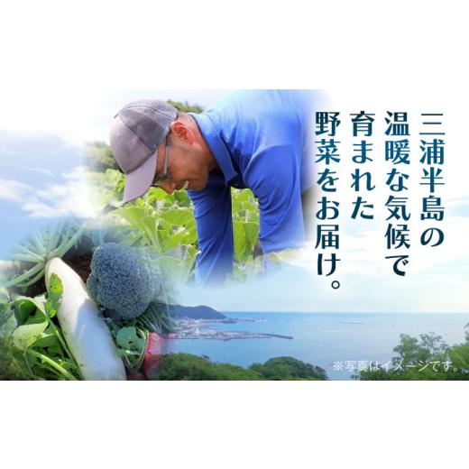 ふるさと納税 セット・詰合せ 神奈川県 葉山町 よこすか野菜セット すかなボックス ／ 野菜 やさい 野菜ボックス 野菜セット 野菜詰め合わせ 産地直送 野菜BOX…の画像