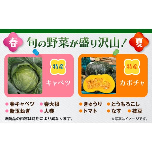 ふるさと納税 セット・詰合せ 神奈川県 葉山町 よこすか野菜セット すかなボックス ／ 野菜 やさい 野菜ボックス 野菜セット 野菜詰め合わせ 産地直送 野菜BOX…の画像