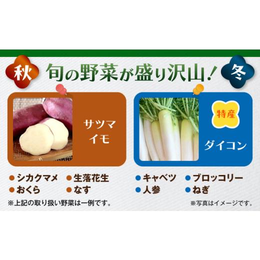 ふるさと納税 セット・詰合せ 神奈川県 葉山町 よこすか野菜セット すかなボックス ／ 野菜 やさい 野菜ボックス 野菜セット 野菜詰め合わせ 産地直送 野菜BOX…の画像