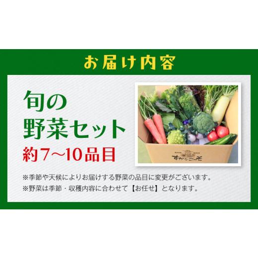 ふるさと納税 セット・詰合せ 神奈川県 葉山町 よこすか野菜セット すかなボックス ／ 野菜 やさい 野菜ボックス 野菜セット 野菜詰め合わせ 産地直送 野菜BOX…の画像