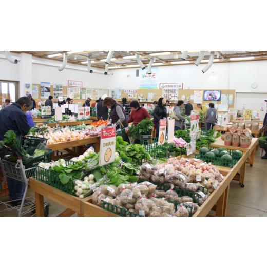 ふるさと納税 セット・詰合せ 神奈川県 葉山町 よこすか野菜セット すかなボックス ／ 野菜 やさい 野菜ボックス 野菜セット 野菜詰め合わせ 産地直送 野菜BOX…の画像