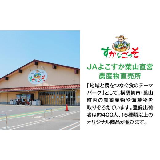 ふるさと納税 セット・詰合せ 神奈川県 葉山町 よこすか野菜セット すかなボックス ／ 野菜 やさい 野菜ボックス 野菜セット 野菜詰め合わせ 産地直送 野菜BOX…の画像