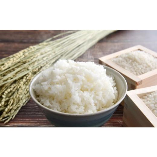 ふるさと納税 米 熊本県 熊本市 令和8年産 大地の米 訳あり 4kg(2kg×2) くまさんの輝き 2026年10月上旬〜2027年1月下旬まで順次発送予定 お米 コメ 新米 …