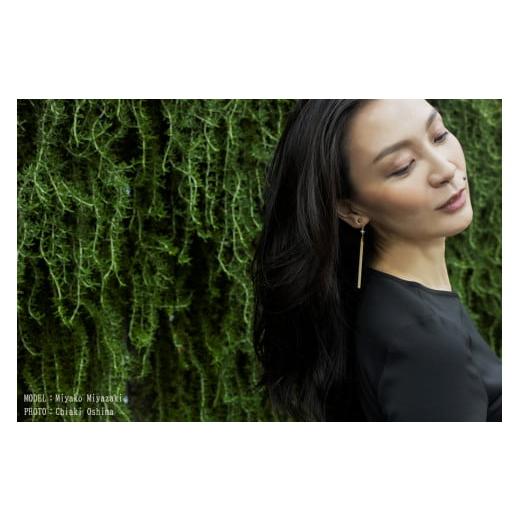 ふるさと納税 イヤリング 熊本県 小国町 KALCANO イヤリング ジュエリー jewelry アクセサリー レディース 熊本 阿蘇小国杉 小国杉 工芸品 木製 樹脂パーツ …