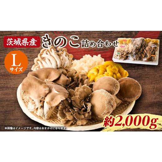 ふるさと納税 野菜類 きのこ 茨城県 - 茨城県城里町産 きのこの詰め合わせ Lサイズ 約2kg 1593969