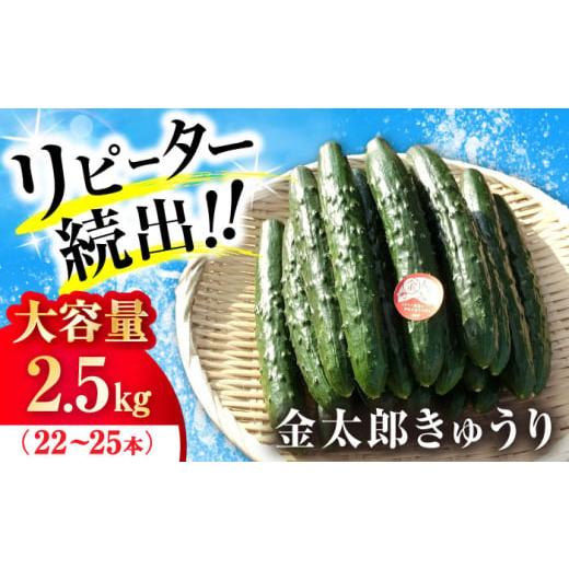 ふるさと納税 野菜類 滋賀県 長浜市 先行予約 野菜 きゅうり 2.5kg 滋賀県長浜市/ミヤベアグリックファーム AQDD001 キュウリ 野菜 新鮮 サラダ 漬物 浅漬け…