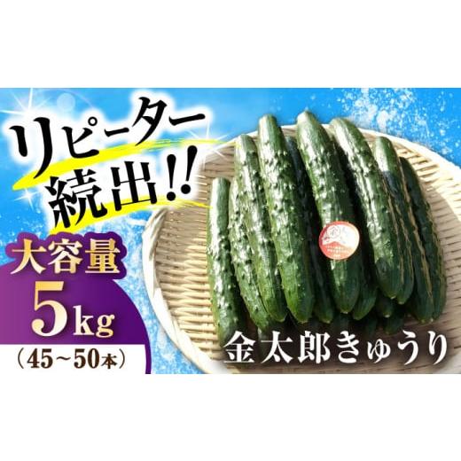 ふるさと納税 野菜類 滋賀県 長浜市 先行予約 野菜 きゅうり 5kg 滋賀県長浜市/ミヤベアグリックファーム AQDD002 キュウリ 野菜 新鮮 サラダ 漬物 浅漬け …