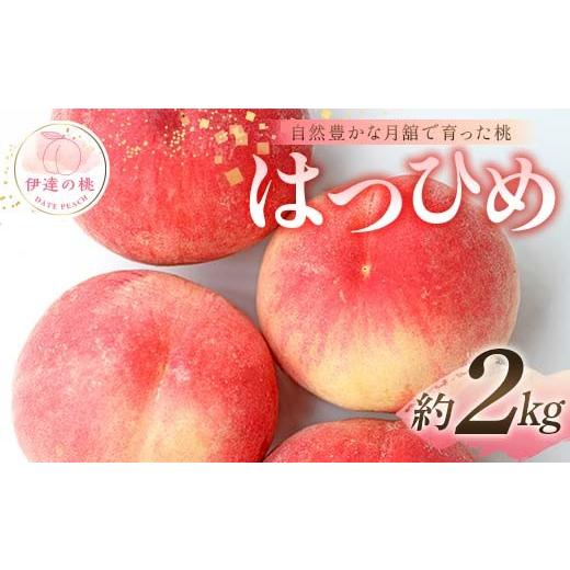ふるさと納税 もも 福島県 伊達市 2026年出荷分先行予約 福島県産 はつひめ 約2kg (6〜10玉) 森果樹園 自然豊かな月舘で育った桃 伊達の桃 桃 フルーツ 果物 …