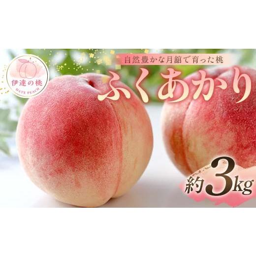 ふるさと納税 もも 福島県 伊達市  2026年出荷分先行予約 福島県産 ふくあかり 約3kg (9〜12玉) 森果樹園 自然豊かな月舘で育った桃 伊達の桃 桃 フルーツ 果…の画像