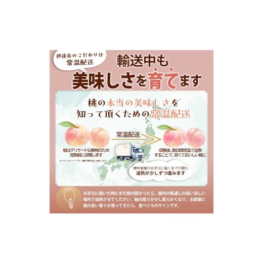 ふるさと納税 もも 福島県 伊達市  2026年出荷分先行予約 福島県産 ふくあかり 約3kg (9〜12玉) 森果樹園 自然豊かな月舘で育った桃 伊達の桃 桃 フルーツ 果…の画像