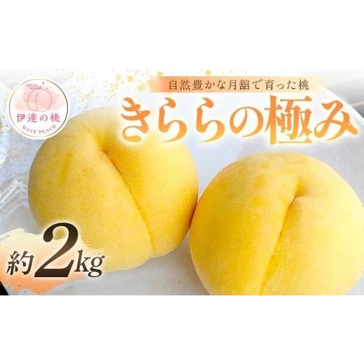 ふるさと納税 もも 福島県 伊達市 2026年出荷分先行予約 福島県産 きららの極み 約2kg (6〜8玉) 森果樹園 自然豊かな月舘で育った桃 伊達の桃 桃 フルーツ 果…