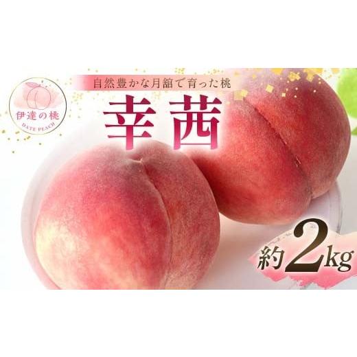 ふるさと納税 もも 福島県 伊達市 2026年出荷分先行予約 福島県産 幸茜 約2kg (6〜8玉) 森果樹園 さちあかね 自然豊かな月舘で育った桃 伊達の桃 桃 フルーツ…