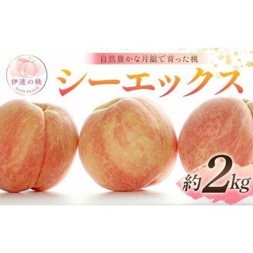 ふるさと納税 もも 福島県 伊達市 2026年出荷分先行予約 福島県産 シーエックス 約2kg (5〜8玉) 森果樹園 自然豊かな月舘で育った桃 伊達の桃 桃 フルーツ 果…