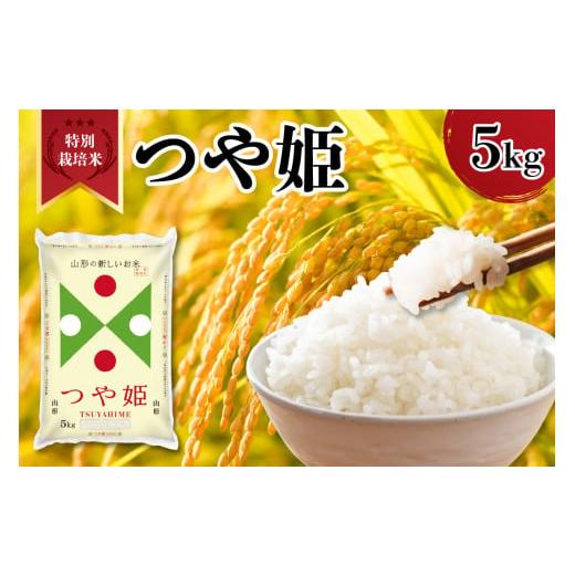 ふるさと納税 米 つや姫 山形県 米沢市 令和7年産 新米 山形県産 特別栽培米 つや姫 5kg 精米