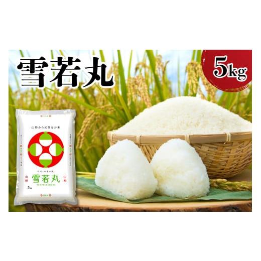 ふるさと納税 米 山形県 米沢市 令和7年産 新米 山形県産 雪若丸 5kg 精米