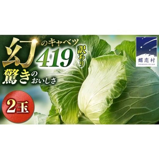 ふるさと納税 野菜類 群馬県 嬬恋村 7月中旬発送開始 訳あり まぼろしの419キャベツ 2玉 きゃべつ 嬬恋村産キャベツ 羽生田売店 幻のキャベツ419 産地直送 期…