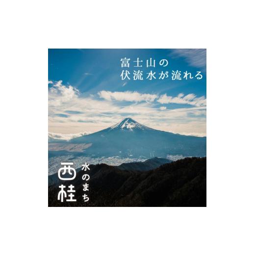 ふるさと納税 水・ミネラルウォーター 500mL〜999mL 山梨県 西桂町 非常用飲料水 富士山麓の保存水500ml 48本 (24本入2箱)総量24L／ミネラルウォーター お水 …の画像