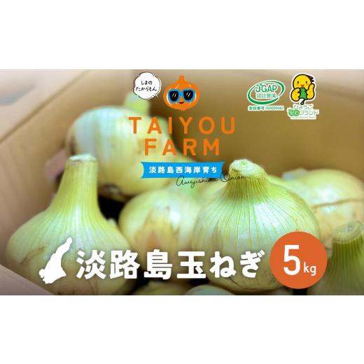 ふるさと納税 野菜類 玉ねぎ 兵庫県 南あわじ市 淡路島産 早採り新玉ねぎ 5kg  配送３月中旬〜の画像