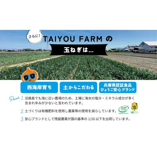 ふるさと納税 野菜類 玉ねぎ 兵庫県 南あわじ市 淡路島産 早採り新玉ねぎ 5kg  配送３月中旬〜の画像