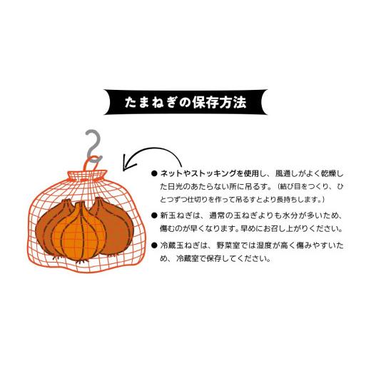 ふるさと納税 野菜類 玉ねぎ 兵庫県 南あわじ市 淡路島産 早採り新玉ねぎ 10kg  配送３月中旬〜の画像