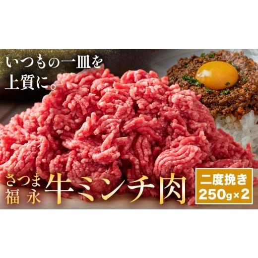 ふるさと納税 牛肉 ハンバーグ 鹿児島県 さつま町 さつま福永牛 ミンチ肉 二度挽き 250g×2パック 福永畜産[30日以内に出荷予定(土日祝除く)]鹿児島県 さつ…