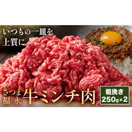ふるさと納税 牛肉 ハンバーグ 鹿児島県 さつま町 さつま福永牛 ミンチ肉 粗挽き 250g×2パック 福永畜産[30日以内に出荷予定(土日祝除く)] 鹿児島県 さつま…