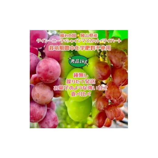 ふるさと納税 果物類 ぶどう 岡山県 岡山市 ぶどう 2026年 クイーンニーナ シャインマスカット マイハート 秀品 粒だけ 約1kg 農林大臣賞受賞 岡山 国産 果物 …