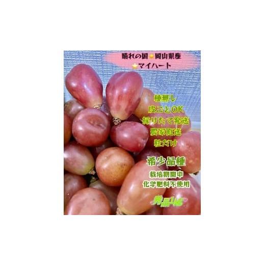 ふるさと納税 果物類 ぶどう 岡山県 岡山市 ぶどう 2026年 マイハート 秀品 粒だけ 約1kg 岡山 国産 果物 フルーツ 2026年8月中旬から発送
