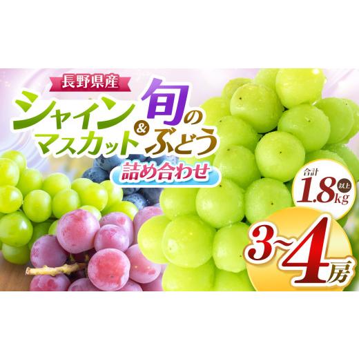 ふるさと納税 ぶどう 長野県 松本市 先行受付 シャインマスカットと旬のブドウ詰め合わせ3〜4房 合計1.8キロ以上 | ふるさと納税 長野県 松本市 信州 季節限…