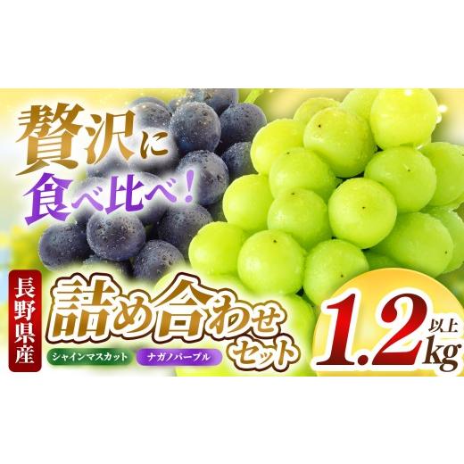 ふるさと納税 ぶどう 長野県 松本市 先行受付 シャインマスカット・ナガノパープル詰め合わせ1.2kg以上 | ふるさと納税 長野県 松本市 信州 季節限定 シャイ…