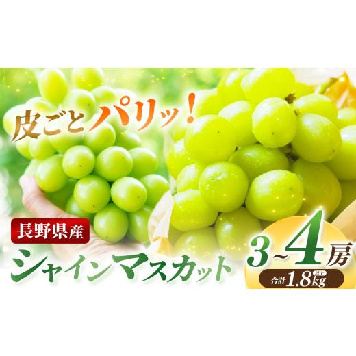 ふるさと納税 ぶどう マスカット 長野県 松本市 シャインマスカット3房〜4房 合計1.8キロ以上 | ふるさと納税 長野県 松本市 信州 季節限定 シャインマスカッ…