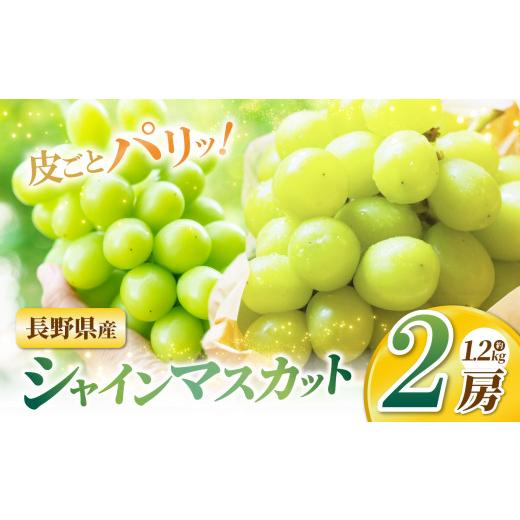 ふるさと納税 ぶどう マスカット 長野県 松本市 先行受付 シャインマスカット2房 | ふるさと納税 長野県 松本市 信州 季節限定 シャインマスカット ブドウ