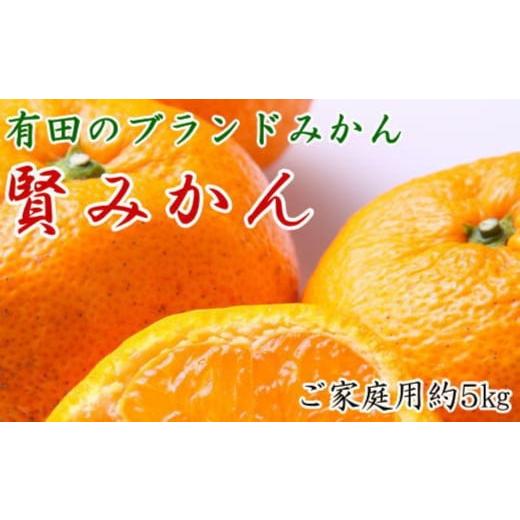 ふるさと納税 果物類 みかん 和歌山県 有田川町 有田のブランド「賢みかん」約5kg サイズ混合 ご家庭用[2026年11月中旬頃より順次発送]