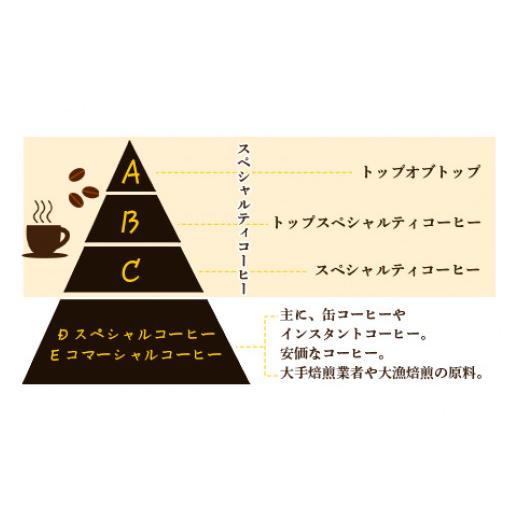 ふるさと納税 コーヒー コーヒー豆 宮崎県 高鍋町 希少豆とブレンドコーヒー 翌月末迄に順次出荷