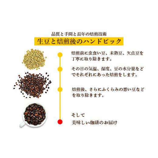 ふるさと納税 コーヒー コーヒー豆 宮崎県 高鍋町 希少豆とブレンドコーヒー 翌月末迄に順次出荷