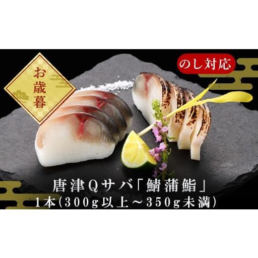 ふるさと納税 魚貝類 佐賀県 唐津市 「お歳暮」生の新食感 唐津Qサバ「鯖蒲鮨」1本(300g以上〜350g未満) さば 蒲鉾 かまぼこ おつまみ ギフト 鯖 サバ 唐津 Q…