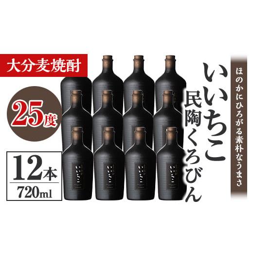 ふるさと納税 焼酎 麦 大分県 宇佐市 いいちこ民陶くろびん 25度(720ml×12本)酒 お酒 むぎ焼酎 720ml 麦焼酎 いいちこ アルコール 飲料 常温 106105600 酒の…