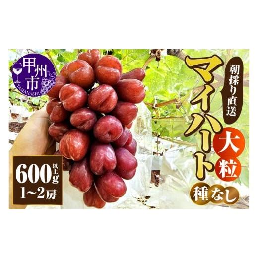 ふるさと納税 ぶどう 山梨県 甲州市 朝採り直送 大粒マイハート(種無し)600g以上(1〜2房) 2026年発送 (AF)B11-450 大粒 マイハート ぶどう 葡萄 ブドウ…