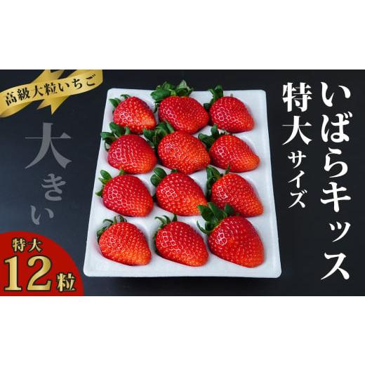 ふるさと納税 いちご 茨城県 常陸太田市 特大サイズいちご いばらキッス 12粒 (約420g) | 大粒 高級 いちご 新鮮 産地直送 家族 子ども 大粒 いばらキッス …