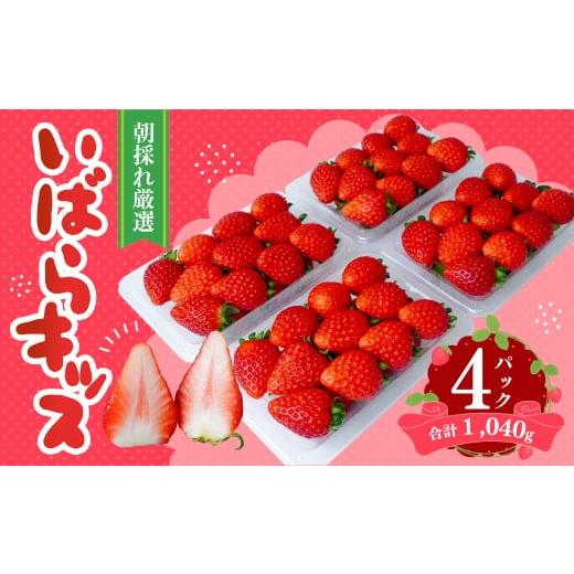 ふるさと納税 いちご 茨城県 常陸太田市 いちご いばらキッス 約260g×4パック | いちご 新鮮 産地直送 家族 子ども 大粒 いばらキッス フルーツ 旬 産地 直送…