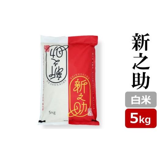 ふるさと納税 米 新潟県 柏崎市 令和7年産新米 新之助 白米 5kg 新潟米 しんのすけ