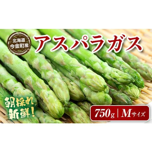 ふるさと納税 野菜類 アスパラガス 北海道 今金町 先行予約 朝採れ新鮮アスパラ 750g (Mサイズ) (2026年3月下旬~6月中旬または2026年7月上旬~9月上旬頃発送…